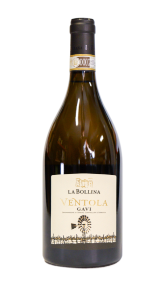 Bollina GAVI DOCG
